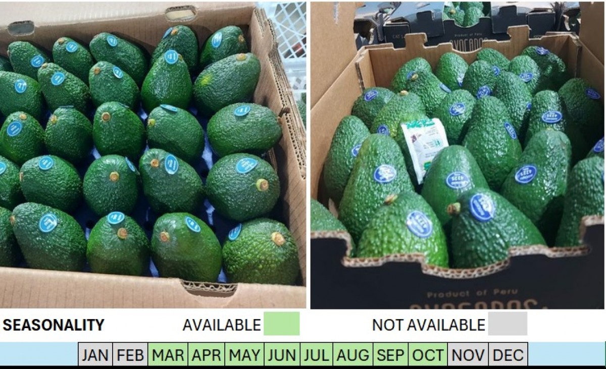 Aguacate Hass, CAL. 32,36,40,48,60,70 from Perú